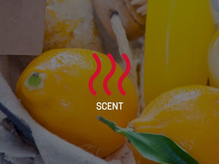 Scent Research
